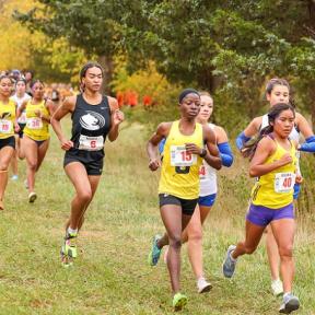 N Vanee Anchike Finished 10th Overall and Earned Second-Team NJCAA All-America Honors on Saturday, November 12th  /  PHOTO by Ed Bailey from Butler Community College