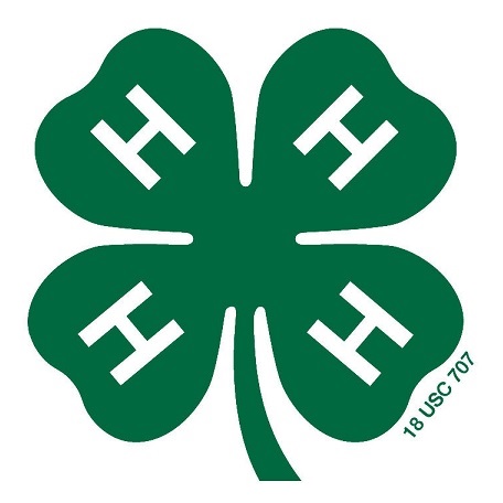 River Valley District 4-H